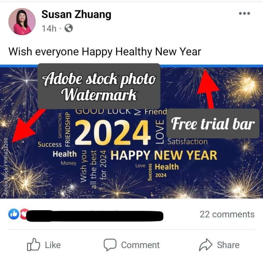 Scammer Susan Zhuang